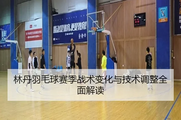 lin-dan-yu-mao-qiu-sai-ji-zhan-shu-bian-hua-yu-ji-shu-tiao-zheng-quan-mian-jie-du-2-475.jpg