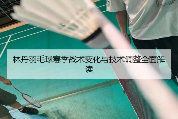 林丹羽毛球赛季战术变化与技术调整全面解读