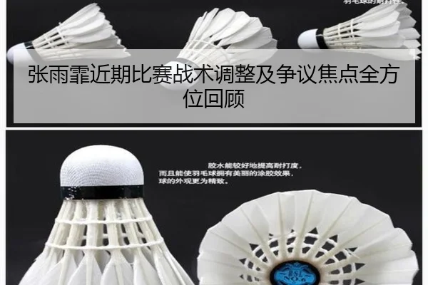 张雨霏近期比赛战术调整及争议焦点全方位回顾